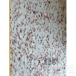 湛江水磨石施工队与天津环氧地坪漆施工的专业解析