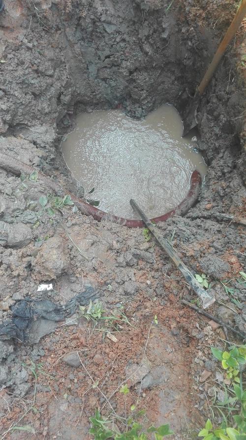宁波添润环保工程 守护绿水青山的坚实力量
